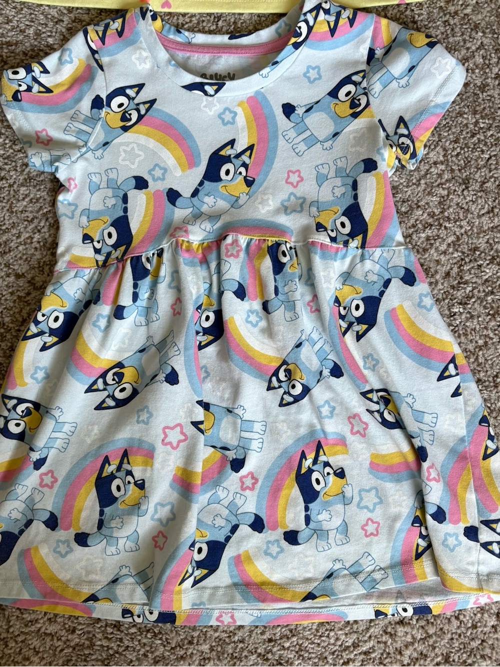 Girls Bluey Character Dress